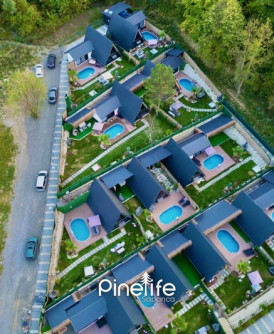 SAPANCA PİNE LİFE